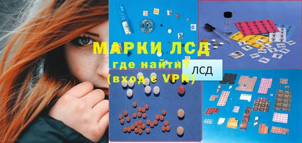 стаф Баксан