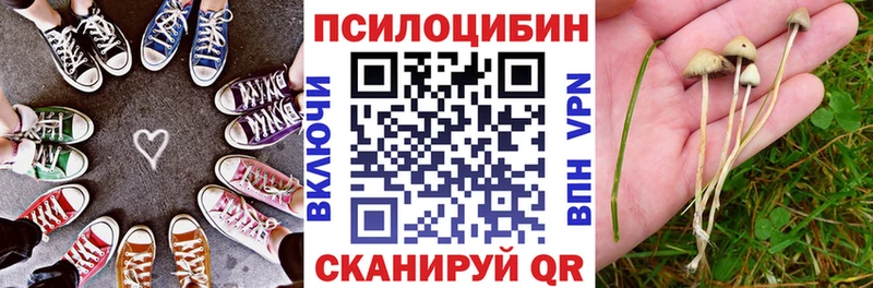 Галлюциногенные грибы мухоморы  Купить  Выборг 